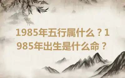 1985年是什么命|1985年出生是什么命运？什么五行？